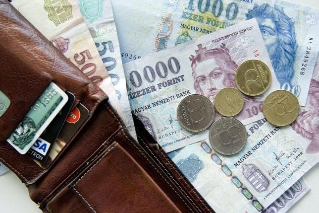 20150528forint penz penzugyek penztarca bankkartya1 | Hétmérföldes Supinált Gyerekcipő Webáruház Fizetés készpénzzel - személyes átvétel során